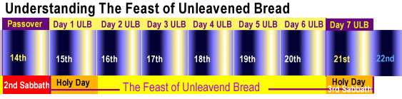 From Passover to unleavened bread