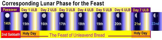 Lunar phases for unleavened bread feast