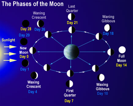 Image of Phases of the Moon cycle